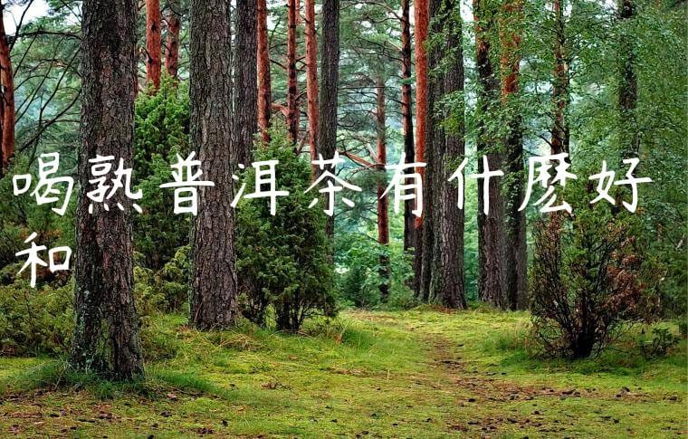 喝熟普洱茶有什麽好處和壞處