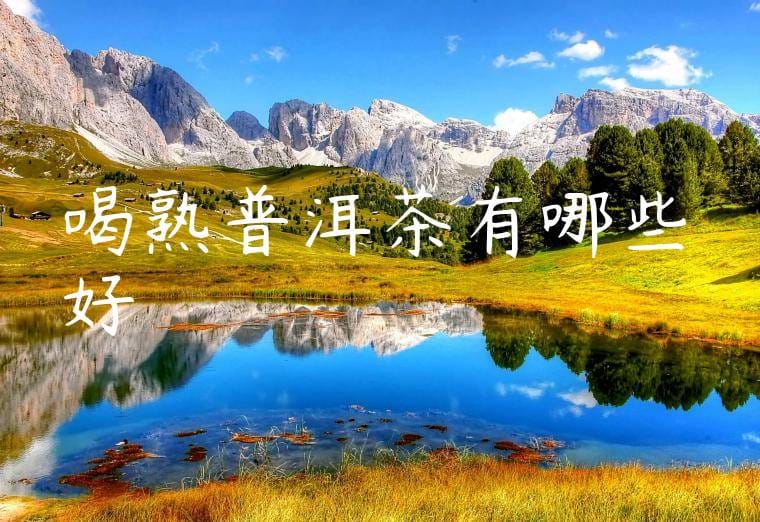 喝熟普洱茶有哪些好處