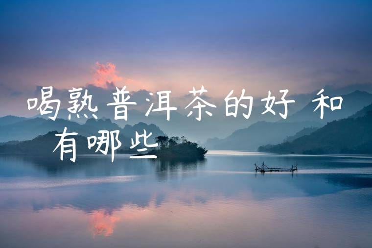 喝熟普洱茶的好處和壞處有哪些