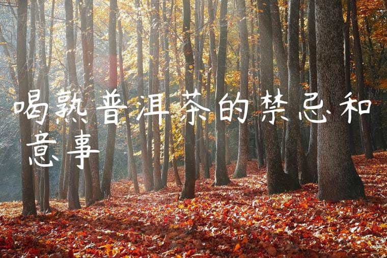 喝熟普洱茶的禁忌和註意事項