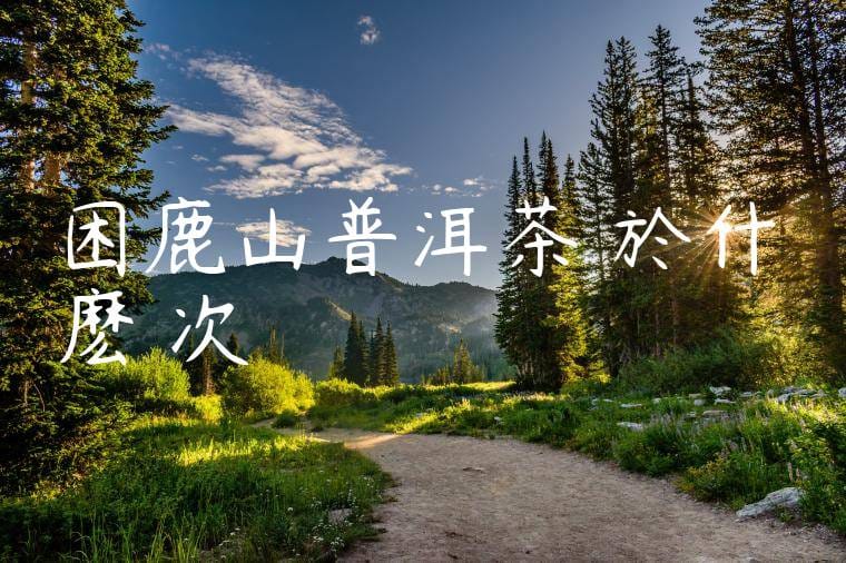 困鹿山普洱茶屬於什麽檔次