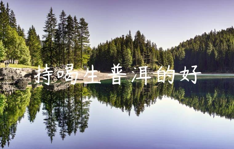 堅持喝生普洱的好處