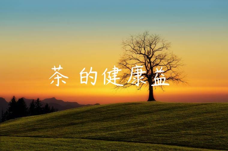茶葉的健康益處