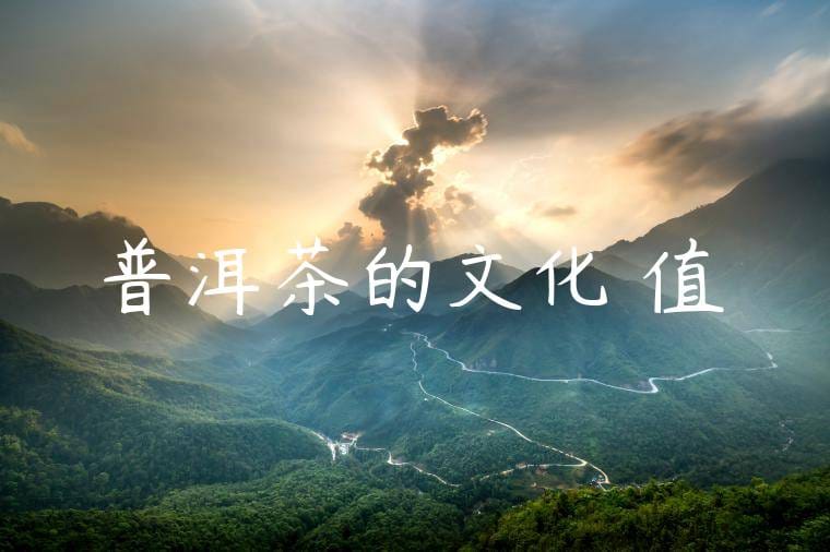 普洱茶的文化價值
