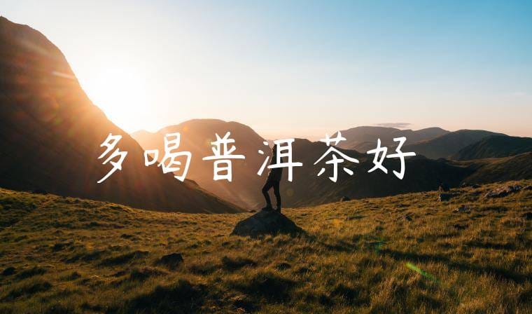 多喝普洱茶好嗎