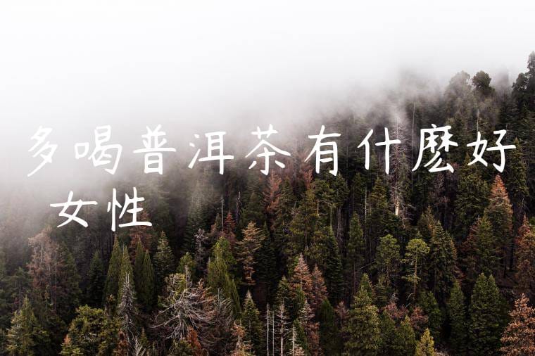 多喝普洱茶有什麽好處嗎女性