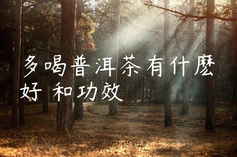 多喝普洱茶有什麽好處和功效