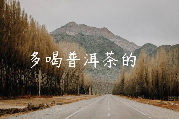 多喝普洱茶的壞處