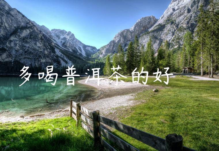 多喝普洱茶的好處與壞處