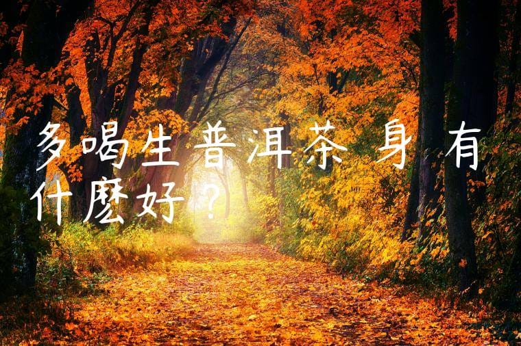 多喝生普洱茶對身體有什麽好處?