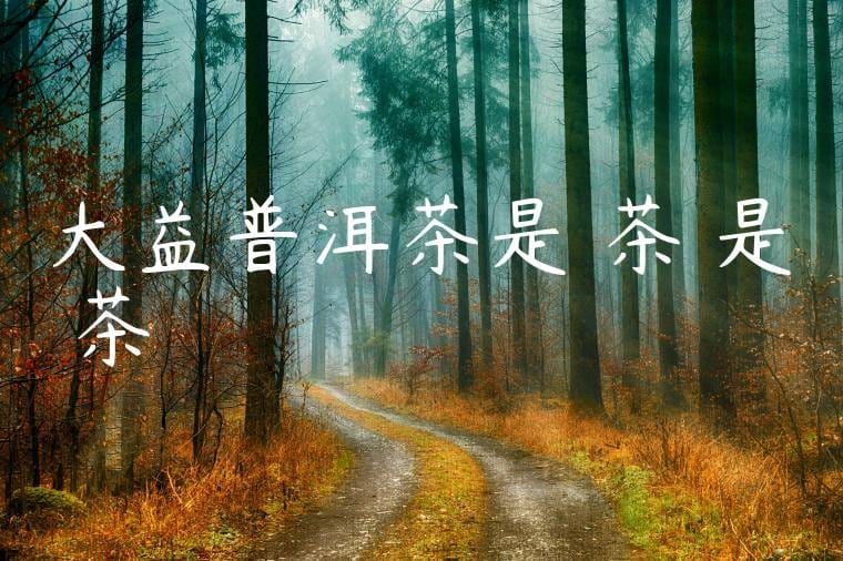 大益普洱茶是紅茶還是綠茶