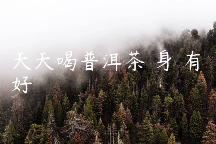 天天喝普洱茶對身體有好處嗎