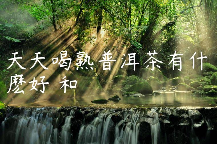 天天喝熟普洱茶有什麽好處和壞處