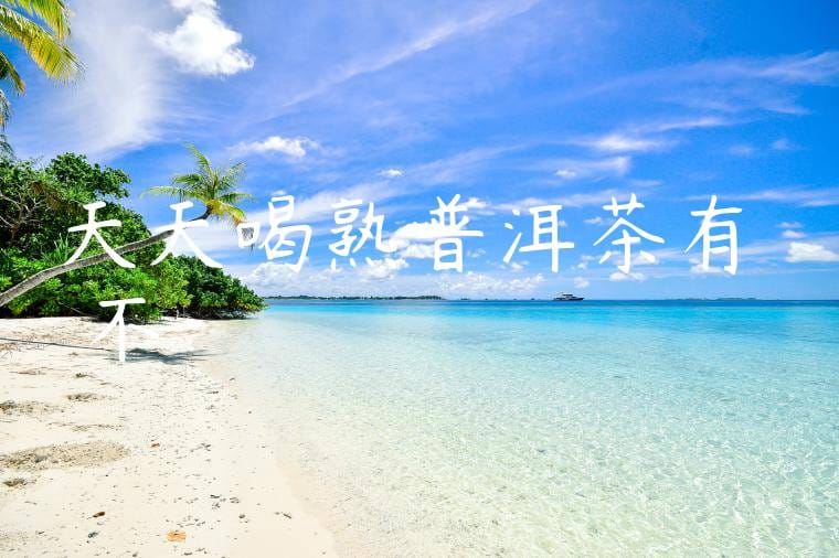 天天喝熟普洱茶有壞處不