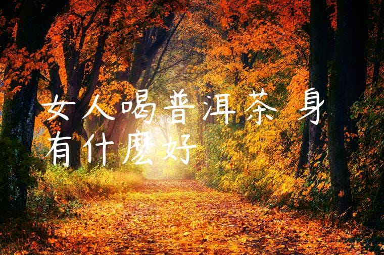 女人喝普洱茶對身體有什麽好處