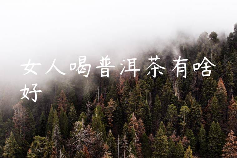 女人喝普洱茶有啥好處