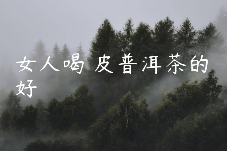 女人喝陳皮普洱茶的好處