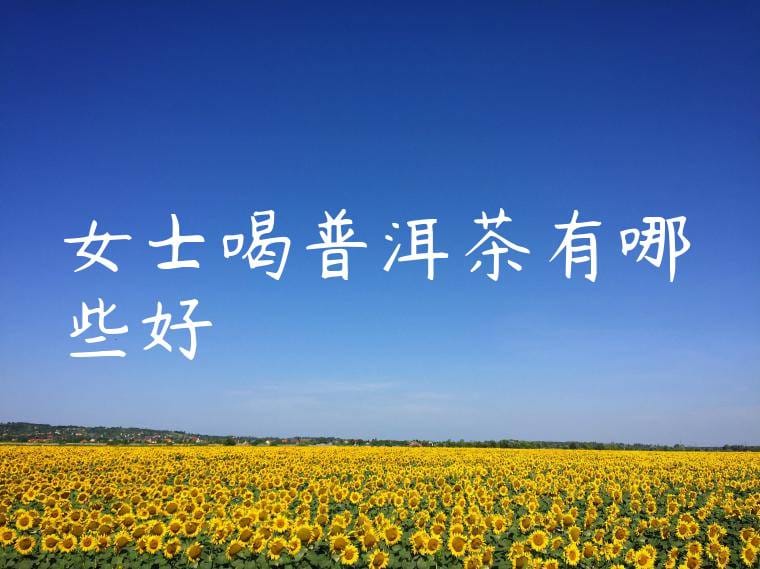 女士喝普洱茶有哪些好處