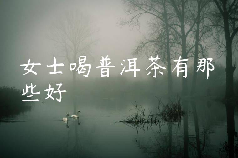 女士喝普洱茶有那些好處