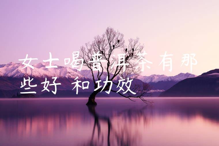 女士喝普洱茶有那些好處和功效