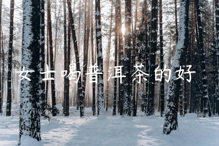 女士喝普洱茶的好處