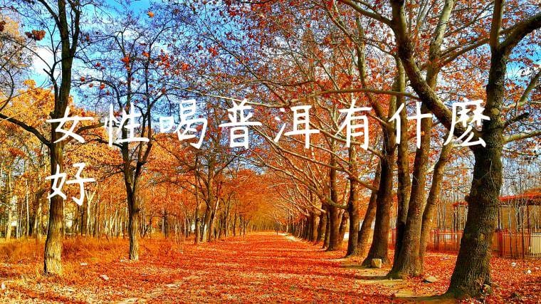 女性喝普洱有什麽好處
