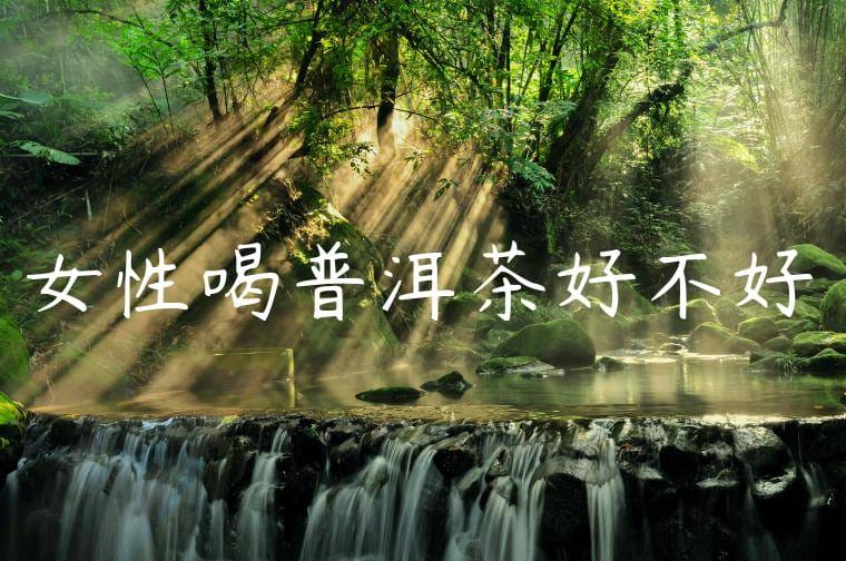 女性喝普洱茶好不好