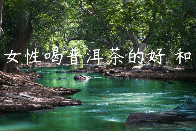女性喝普洱茶的好處和壞處