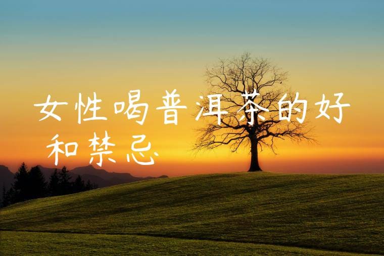 女性喝普洱茶的好處和禁忌