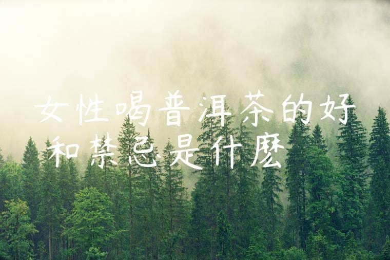 女性喝普洱茶的好處和禁忌是什麽