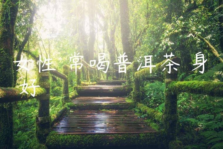 女性經常喝普洱茶對身體好嗎