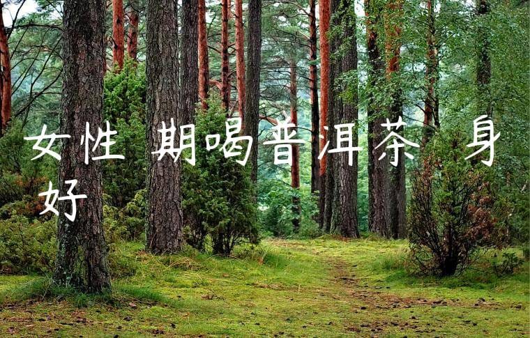 女性長期喝普洱茶葉對身體好嗎