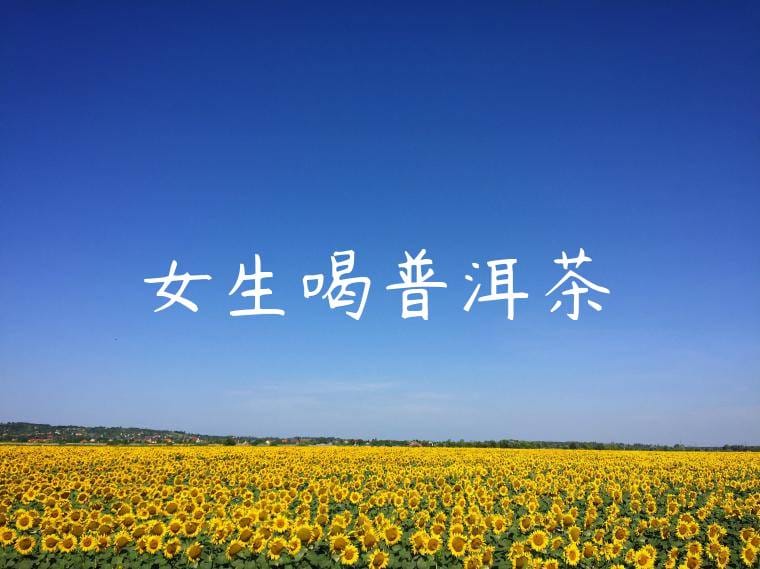 女生喝普洱茶