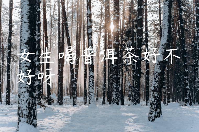 女生喝普洱茶好不好呀