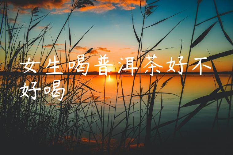 女生喝普洱茶好不好喝