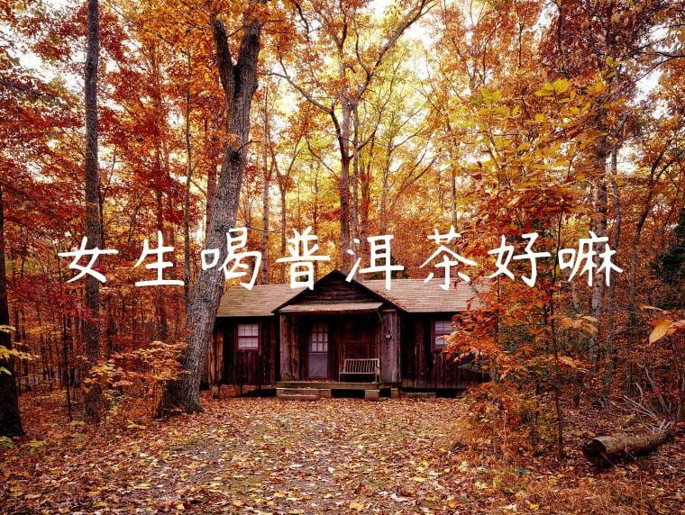 女生喝普洱茶好嘛