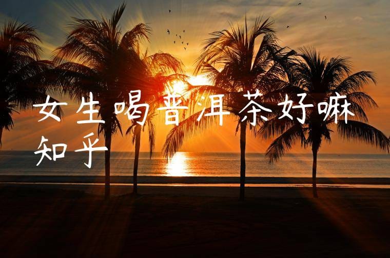 女生喝普洱茶好嘛知乎