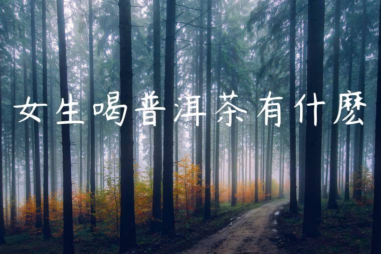 女生喝普洱茶有什麽壞處