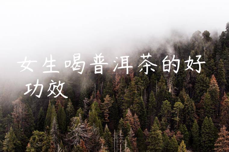 女生喝普洱茶的好處與功效
