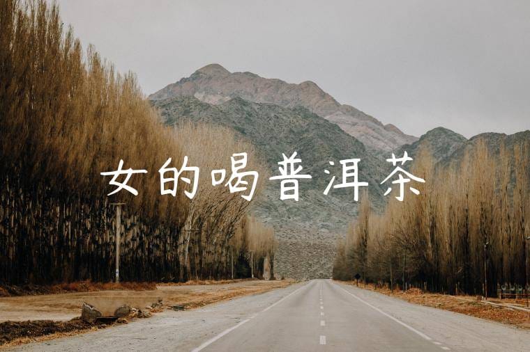 女的喝普洱茶