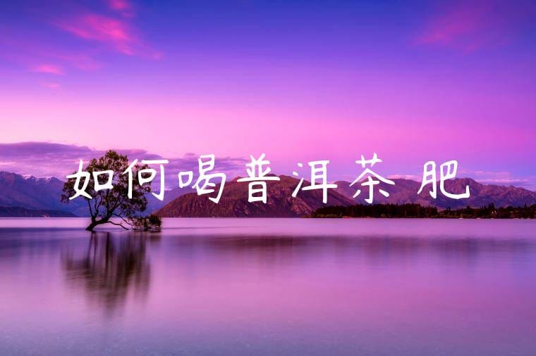 如何喝普洱茶減肥