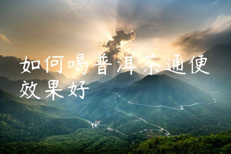 如何喝普洱茶通便效果好