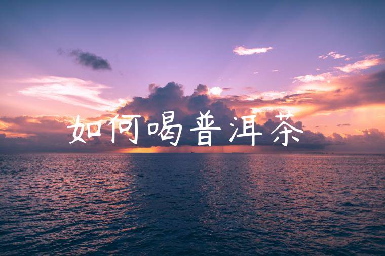 如何喝普洱茶餅