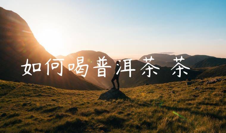 如何喝普洱茶餅茶視頻