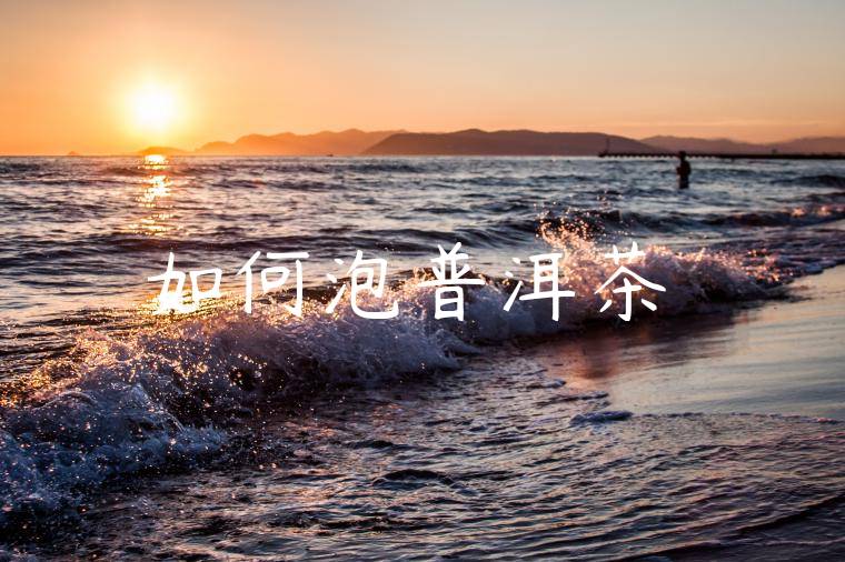 如何泡普洱茶餅