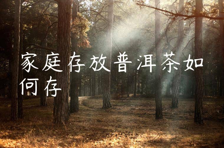 家庭存放普洱茶如何存