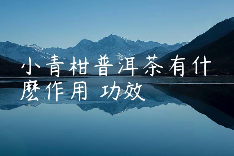 小青柑普洱茶有什麽作用與功效