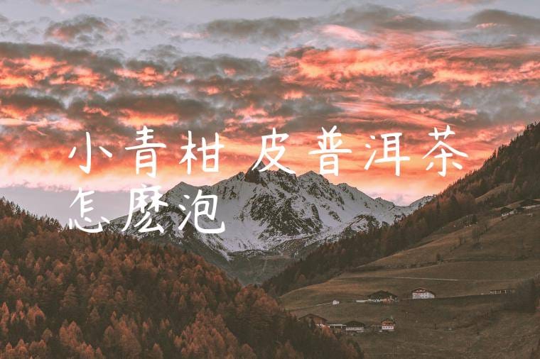 小青柑陳皮普洱茶怎麽泡