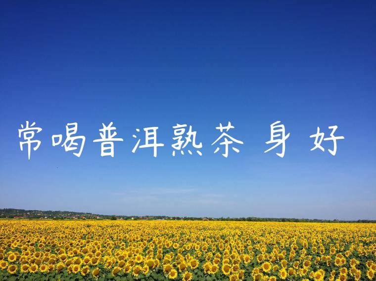 常喝普洱熟茶對身體好嗎