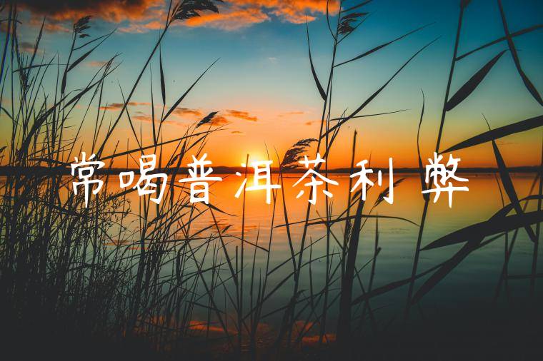 常喝普洱茶利與弊